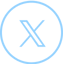 X (formerly known as Twitter) icon